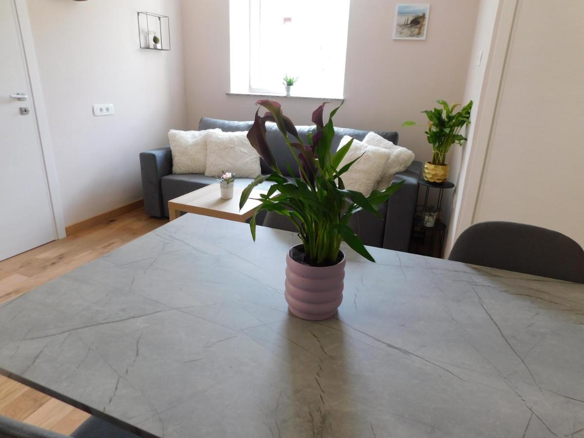 Hisa Limoni Apartment โคเปร์ ภายนอก รูปภาพ